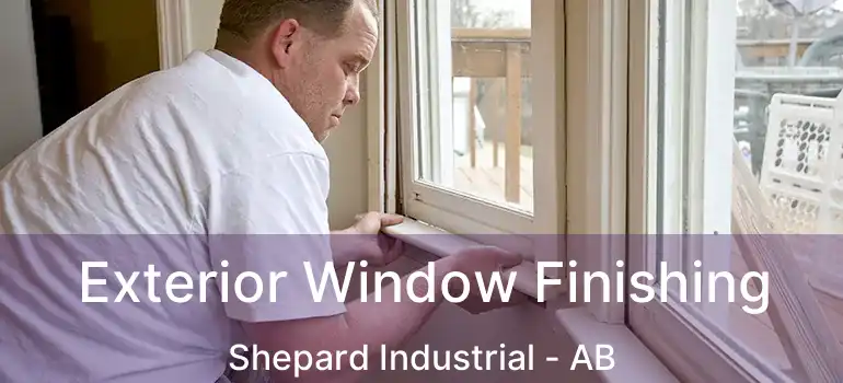  Exterior Window Finishing Shepard Industrial - AB