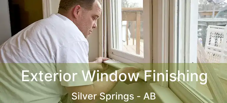 Exterior Window Finishing Silver Springs - AB