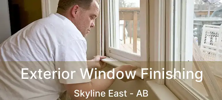  Exterior Window Finishing Skyline East - AB