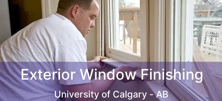  Exterior Window Finishing University of Calgary - AB