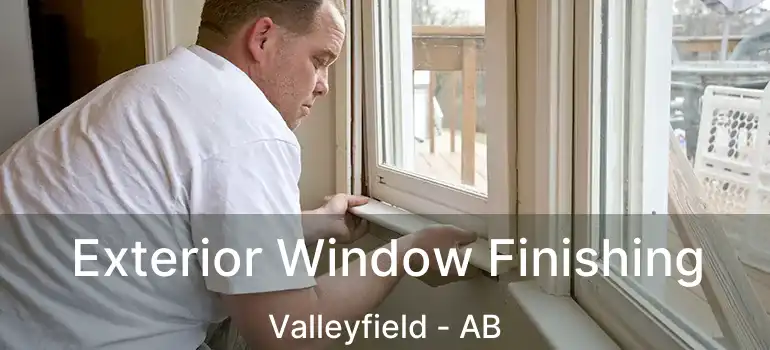  Exterior Window Finishing Valleyfield - AB