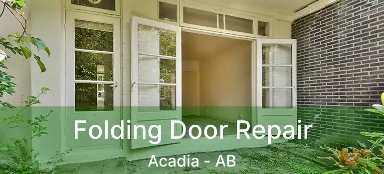  Folding Door Repair Acadia - AB