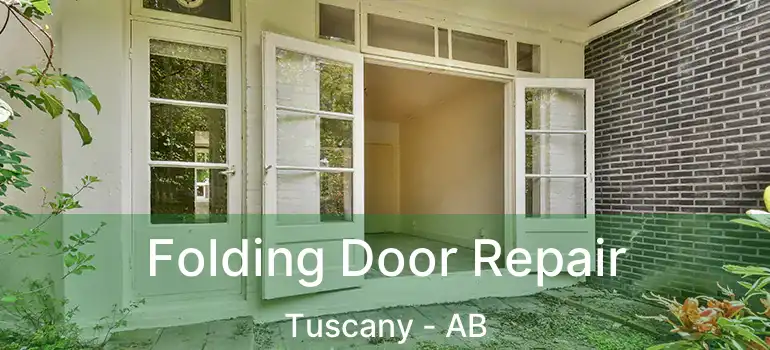  Folding Door Repair Tuscany - AB