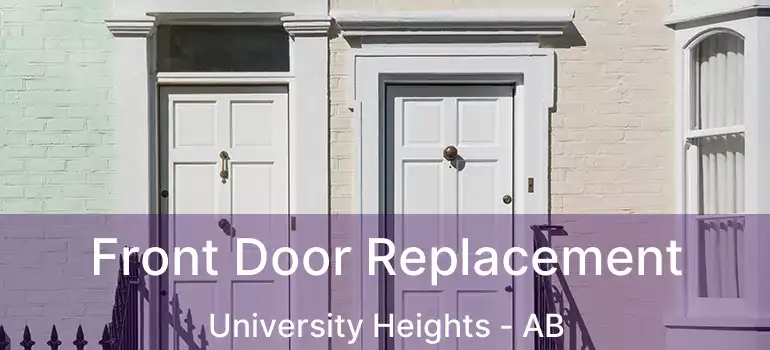  Front Door Replacement University Heights - AB