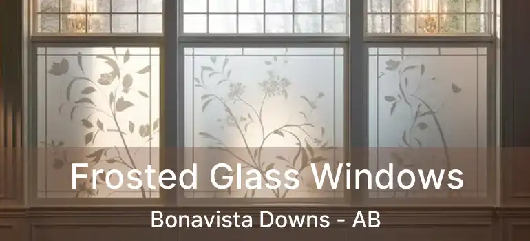  Frosted Glass Windows Bonavista Downs - AB