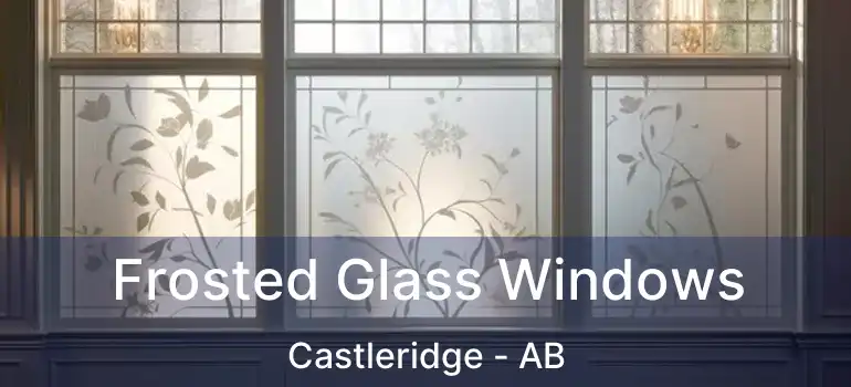  Frosted Glass Windows Castleridge - AB