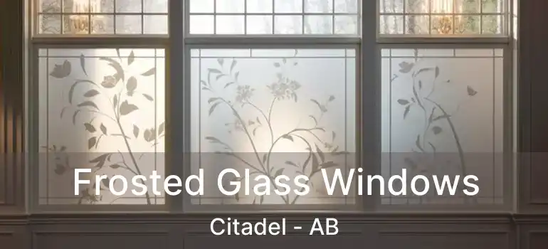  Frosted Glass Windows Citadel - AB
