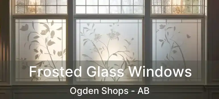  Frosted Glass Windows Ogden Shops - AB