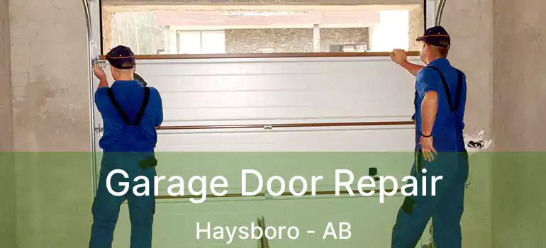  Garage Door Repair Haysboro - AB