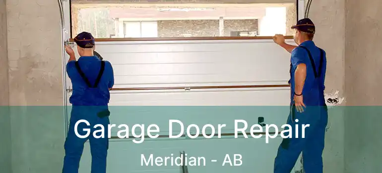  Garage Door Repair Meridian - AB