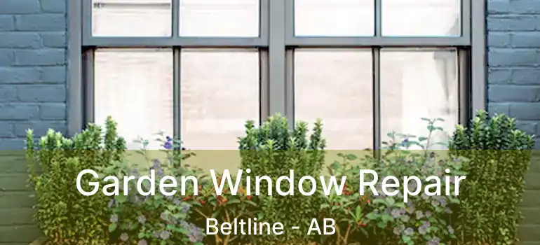  Garden Window Repair Beltline - AB