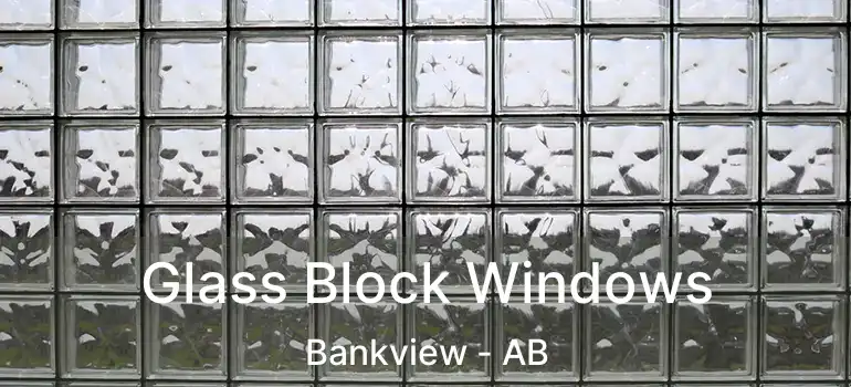  Glass Block Windows Bankview - AB