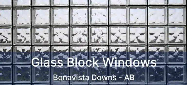  Glass Block Windows Bonavista Downs - AB