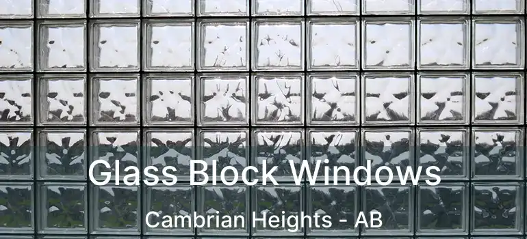  Glass Block Windows Cambrian Heights - AB