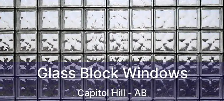  Glass Block Windows Capitol Hill - AB