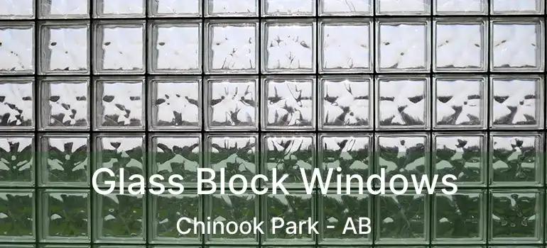  Glass Block Windows Chinook Park - AB