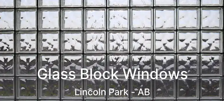  Glass Block Windows Lincoln Park - AB