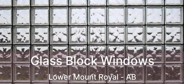  Glass Block Windows Lower Mount Royal - AB