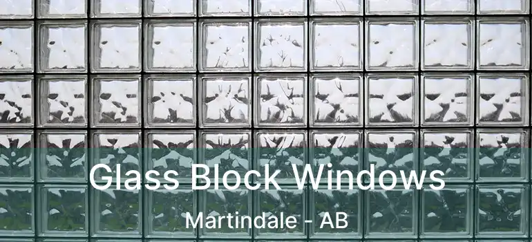  Glass Block Windows Martindale - AB