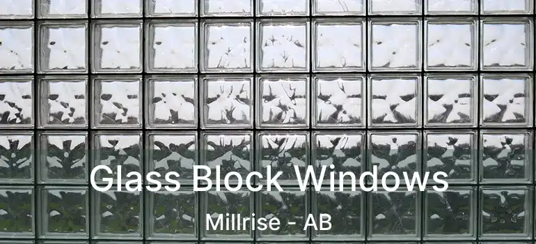  Glass Block Windows Millrise - AB