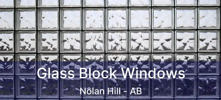  Glass Block Windows Nolan Hill - AB