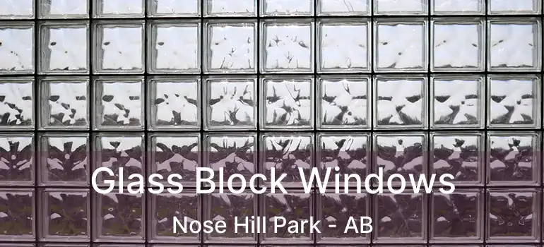  Glass Block Windows Nose Hill Park - AB