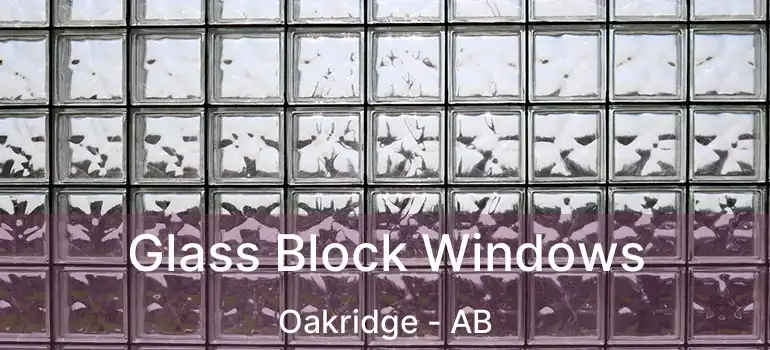  Glass Block Windows Oakridge - AB