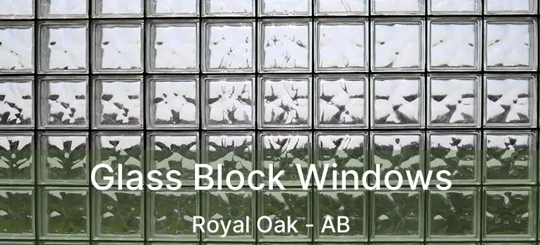  Glass Block Windows Royal Oak - AB