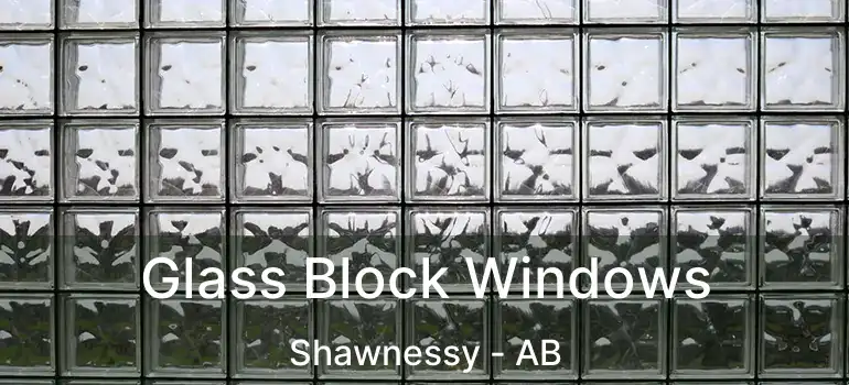  Glass Block Windows Shawnessy - AB