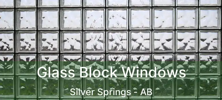 Glass Block Windows Silver Springs - AB