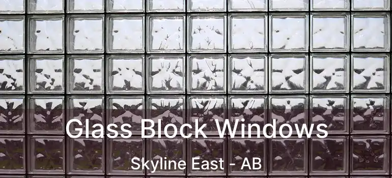  Glass Block Windows Skyline East - AB