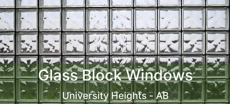  Glass Block Windows University Heights - AB