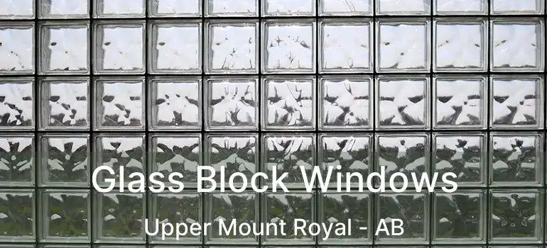  Glass Block Windows Upper Mount Royal - AB