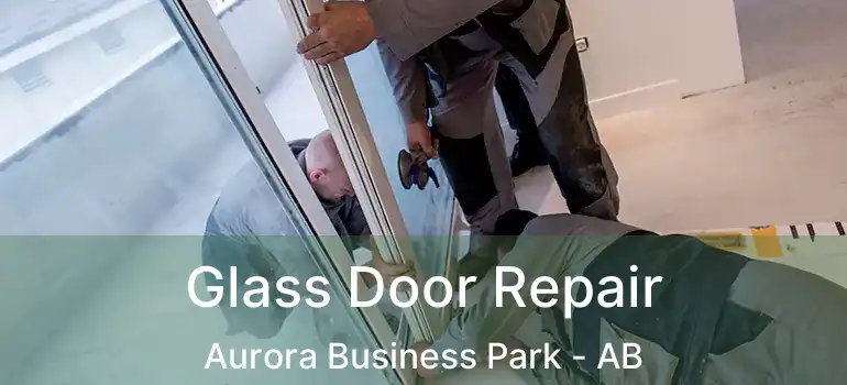  Glass Door Repair Aurora Business Park - AB