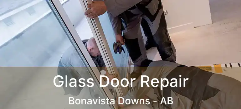  Glass Door Repair Bonavista Downs - AB
