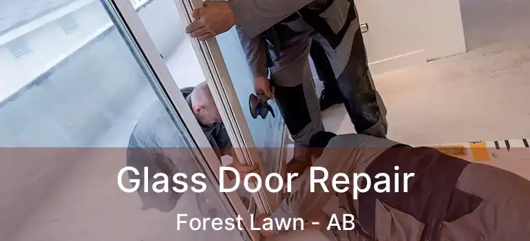  Glass Door Repair Forest Lawn - AB