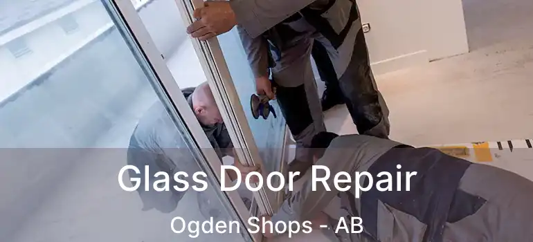  Glass Door Repair Ogden Shops - AB