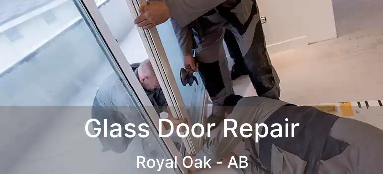  Glass Door Repair Royal Oak - AB