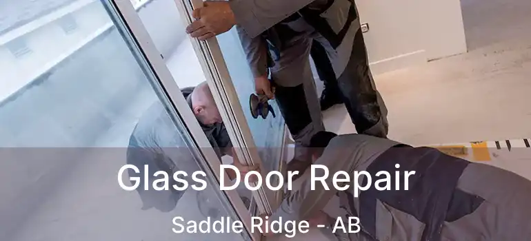  Glass Door Repair Saddle Ridge - AB