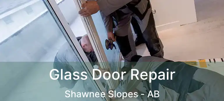  Glass Door Repair Shawnee Slopes - AB