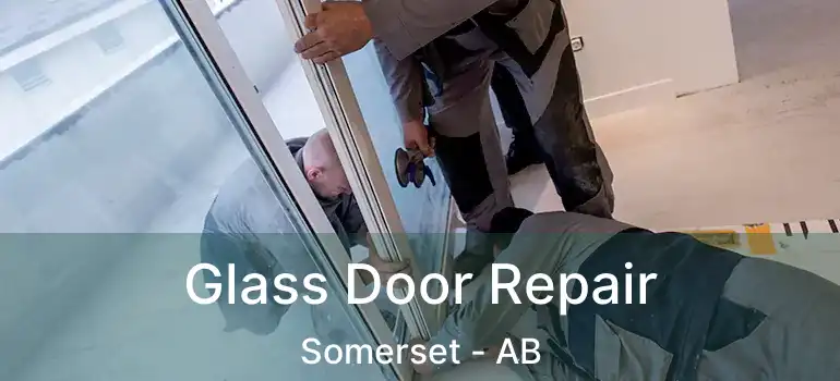  Glass Door Repair Somerset - AB