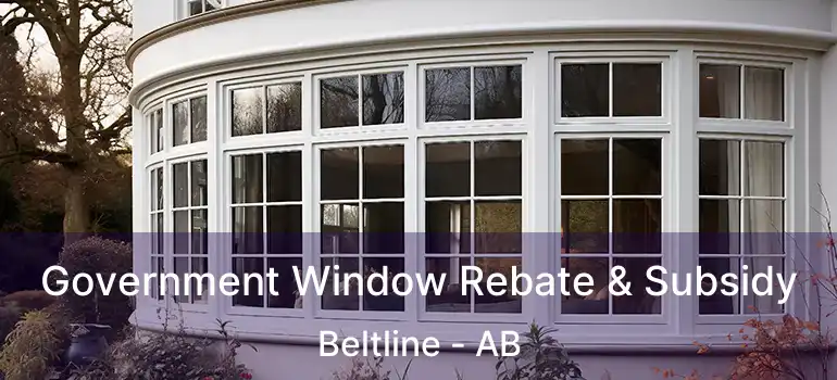  Government Window Rebate & Subsidy Beltline - AB