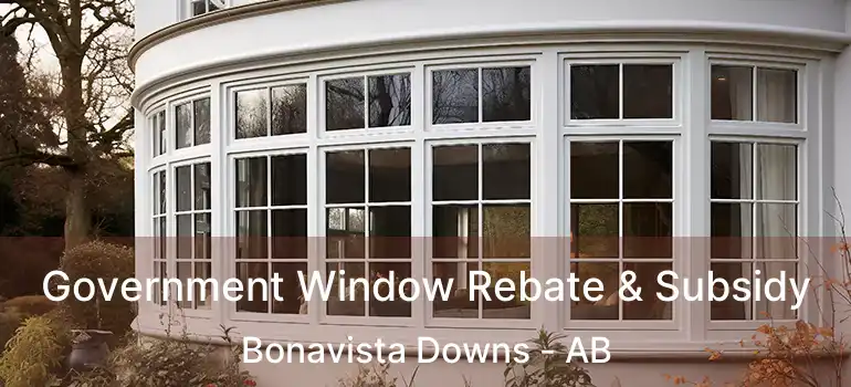  Government Window Rebate & Subsidy Bonavista Downs - AB