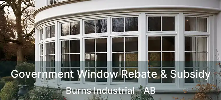  Government Window Rebate & Subsidy Burns Industrial - AB