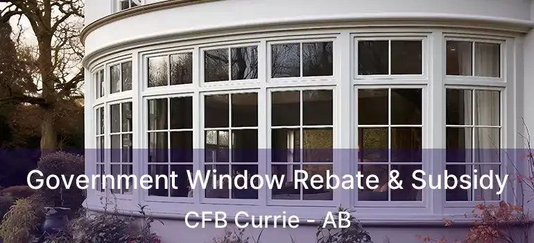  Government Window Rebate & Subsidy CFB Currie - AB