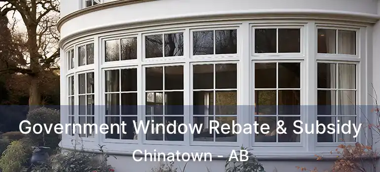  Government Window Rebate & Subsidy Chinatown - AB