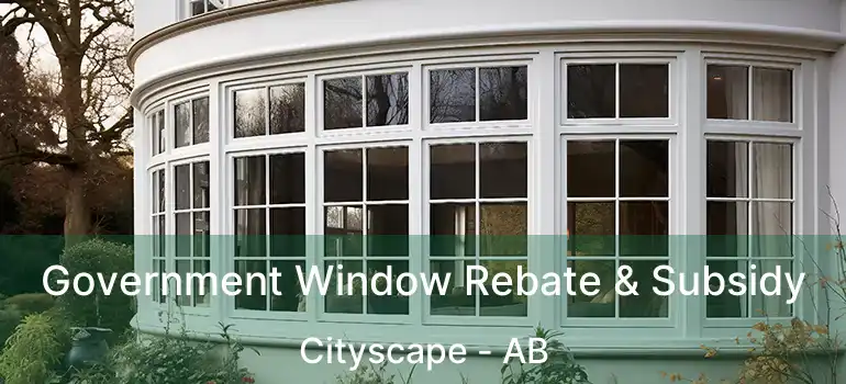  Government Window Rebate & Subsidy Cityscape - AB