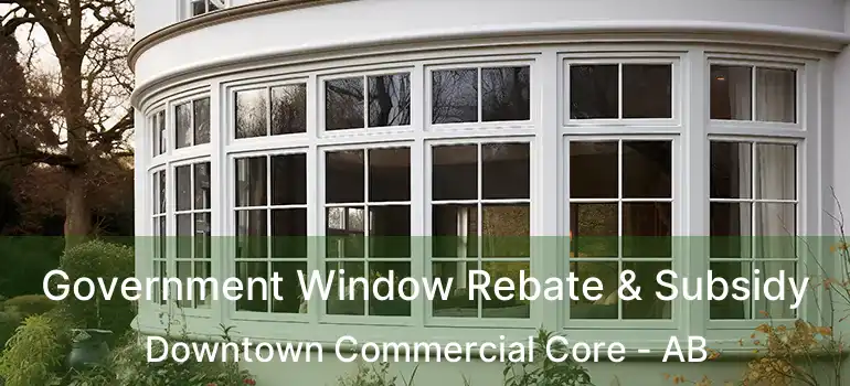  Government Window Rebate & Subsidy Downtown Commercial Core - AB