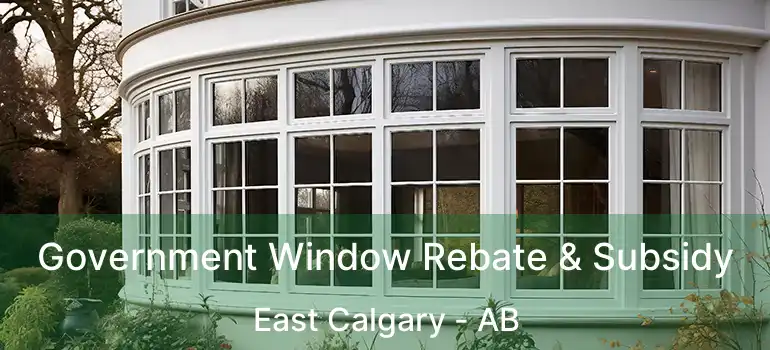  Government Window Rebate & Subsidy East Calgary - AB