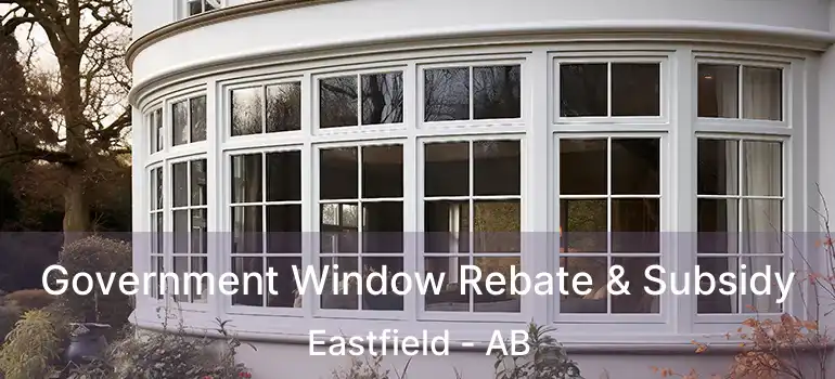  Government Window Rebate & Subsidy Eastfield - AB